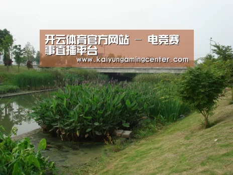 案例展示四(图1)