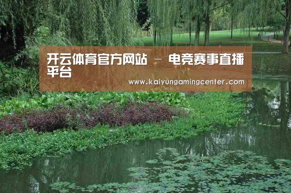 案例展示一(图1)