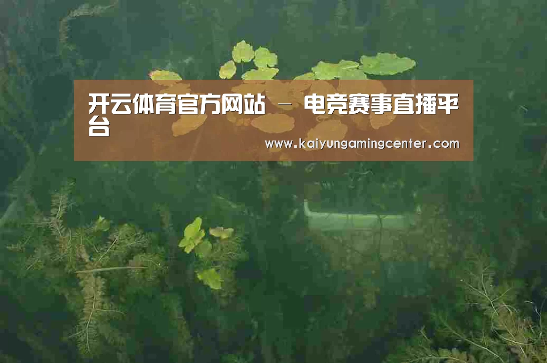 案例展示三(图1)
