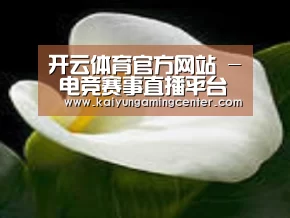 产品名称七