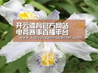 产品名称二