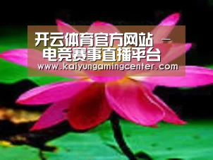 产品名称五
