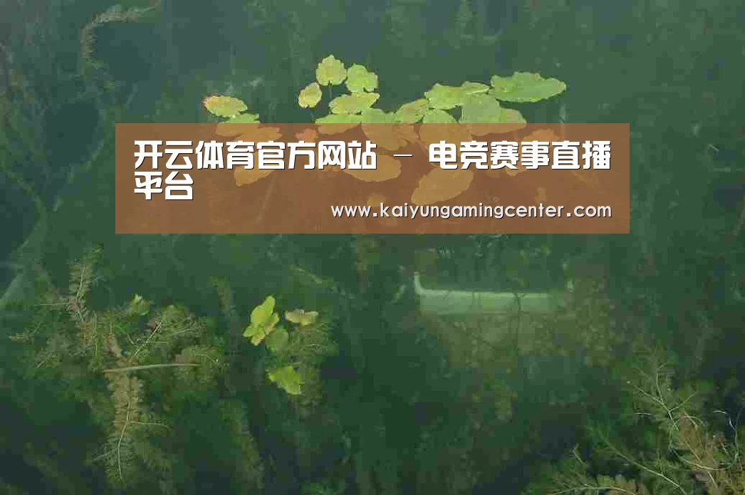 案例展示三