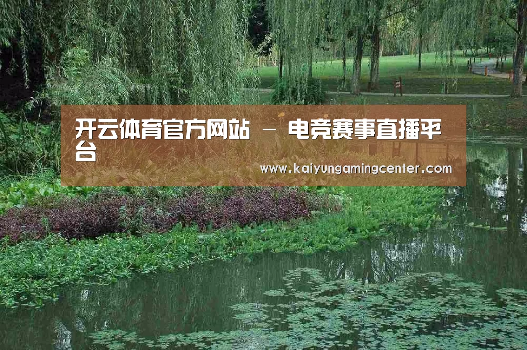 案例展示一