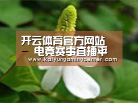 产品名称三