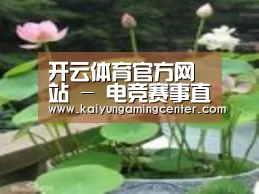 产品名称一