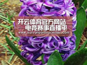 产品名称八