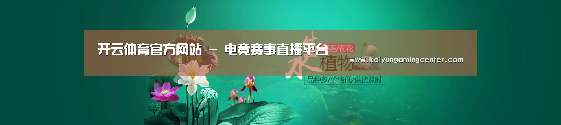 鲜花水草花卉网站模板
