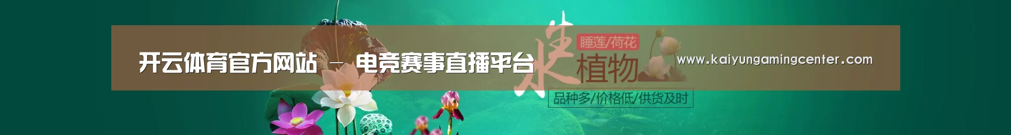 鲜花水草花卉网站模板