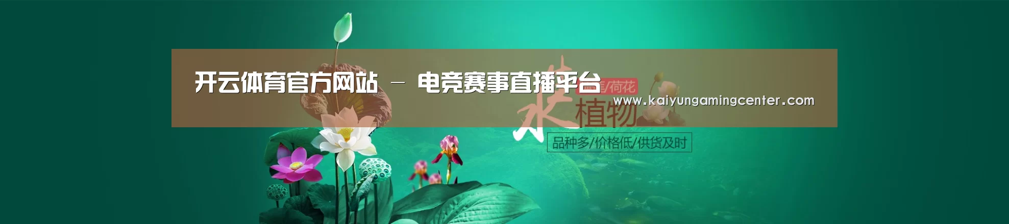 鲜花水草花卉网站模板