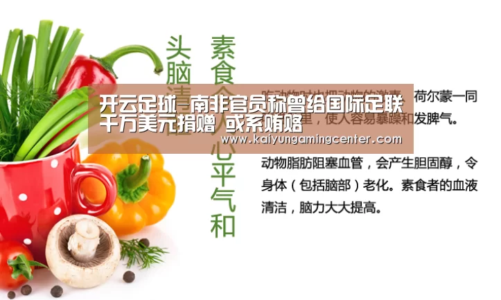 开云足球-南非官员称曾给国际足联千万美元捐赠 或系贿赂(图1) 开云足球