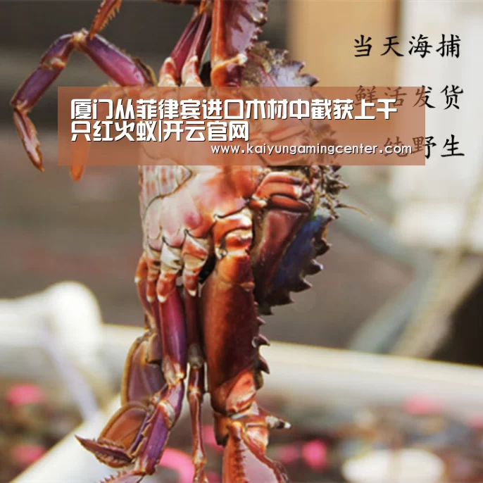 开云电竞